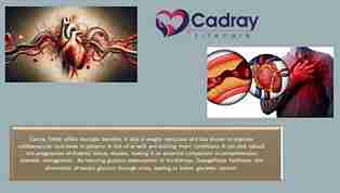 Emplozin S 25 Tablet at the best price in the Antidiabetic Franchise for SGLT2 inhibitor and Type 2 diabetes management.